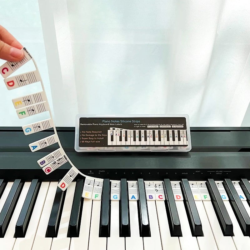 Piano Note Labels Guide
